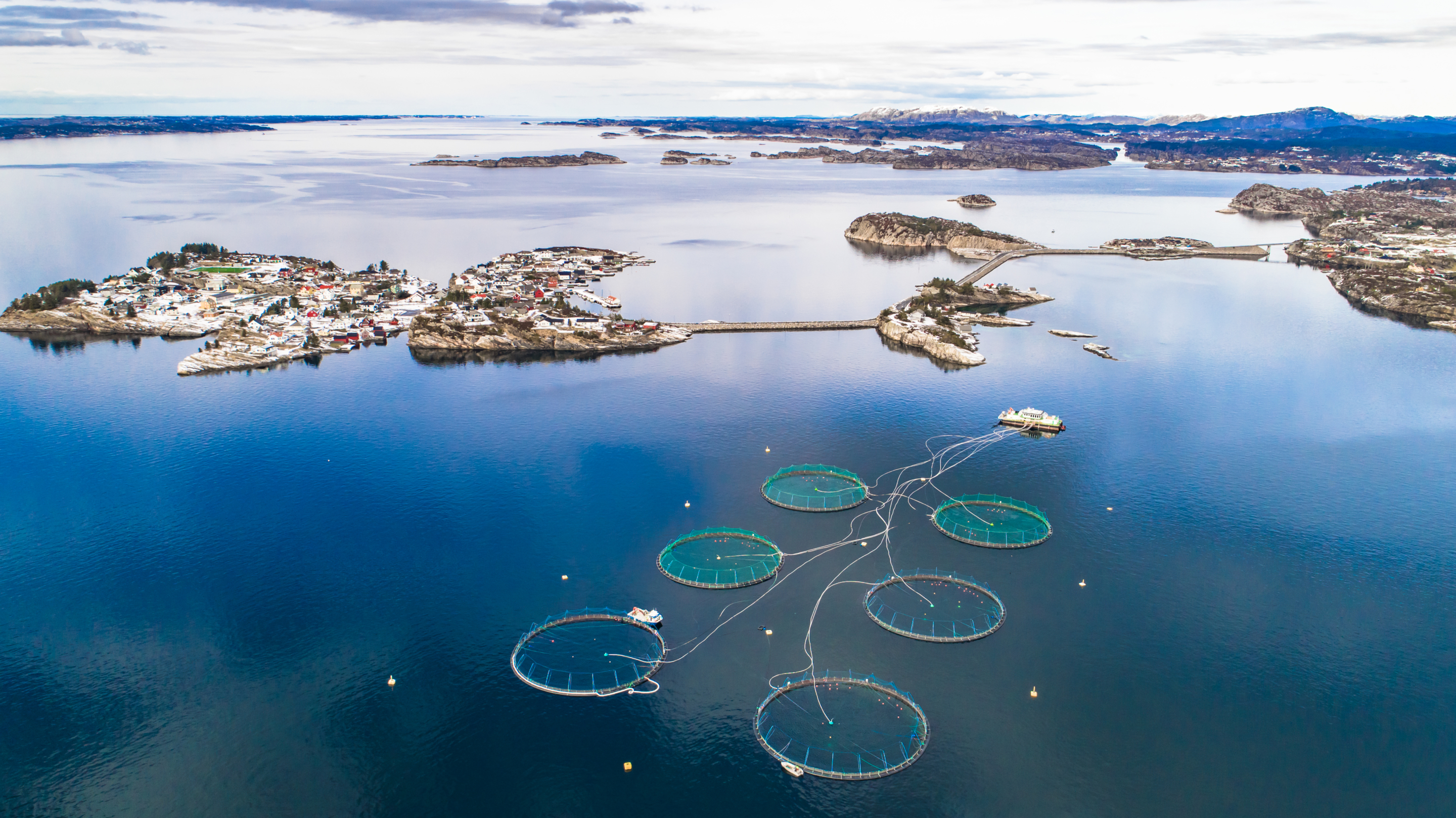 Salmon fish farm. Bergen, Norway.