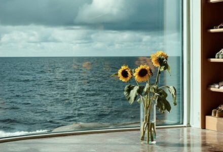 Solsikke ved vindu - illustrere bærekraftige investeringer