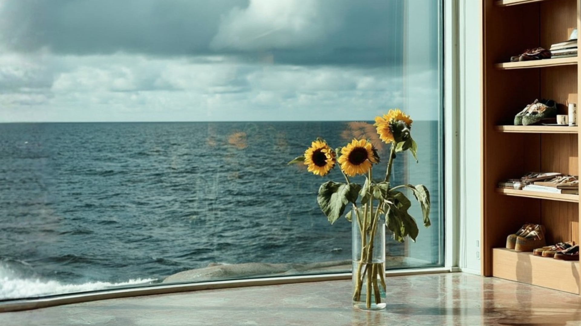 Solsikke ved vindu - illustrere bærekraftige investeringer